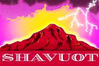 havuot1.jpg